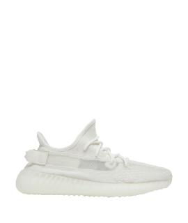 ADIDAS YEEZY Низкие кроссовки / кеды