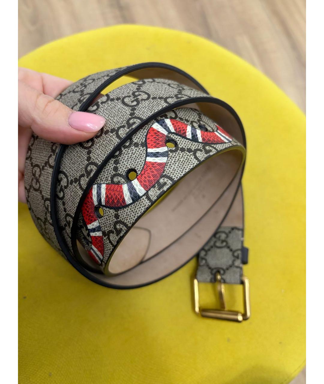 GUCCI Бежевый ремень, фото 3