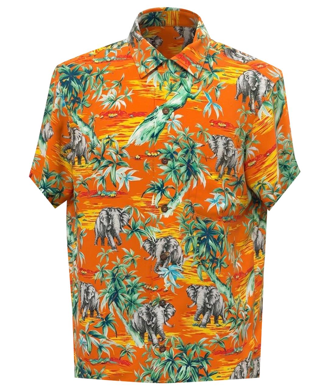 POLO RALPH LAUREN Мульти кэжуал рубашка, фото 1