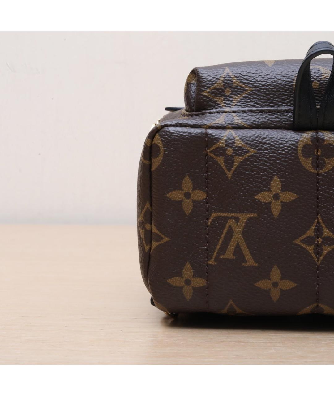 LOUIS VUITTON Коричневый рюкзак, фото 9