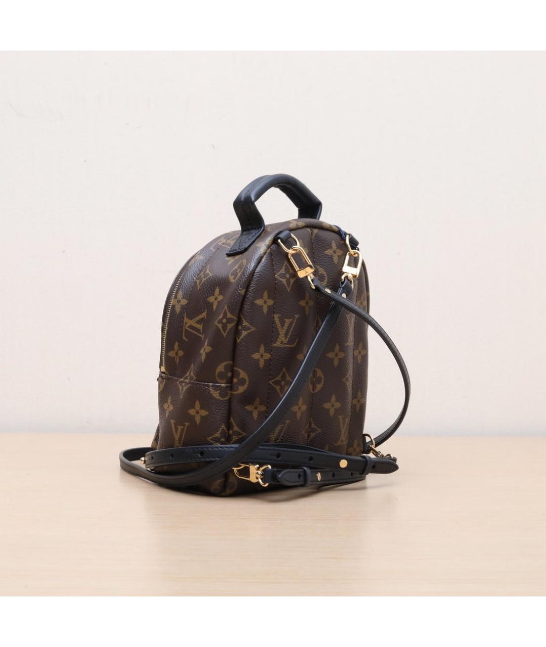 LOUIS VUITTON Коричневый рюкзак, фото 6