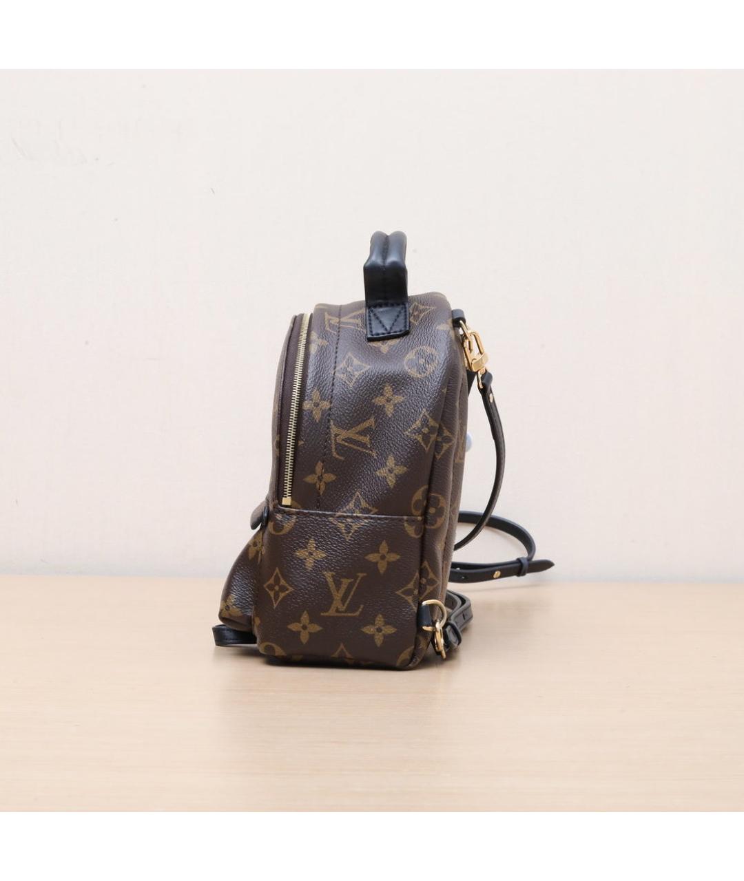 LOUIS VUITTON Коричневый рюкзак, фото 5