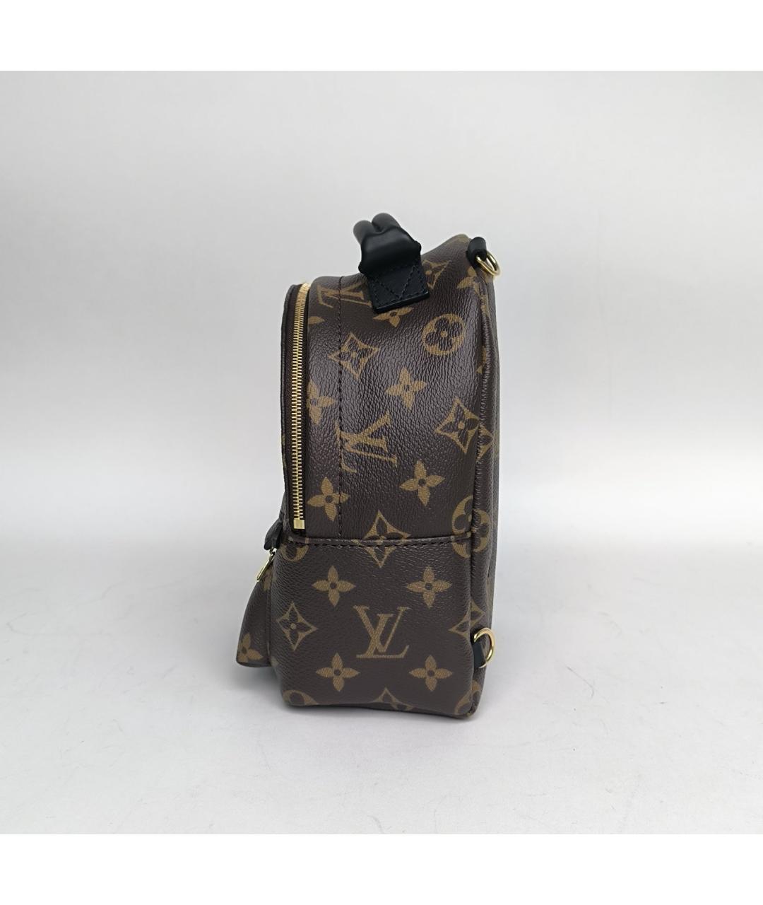 LOUIS VUITTON Коричневый рюкзак, фото 5