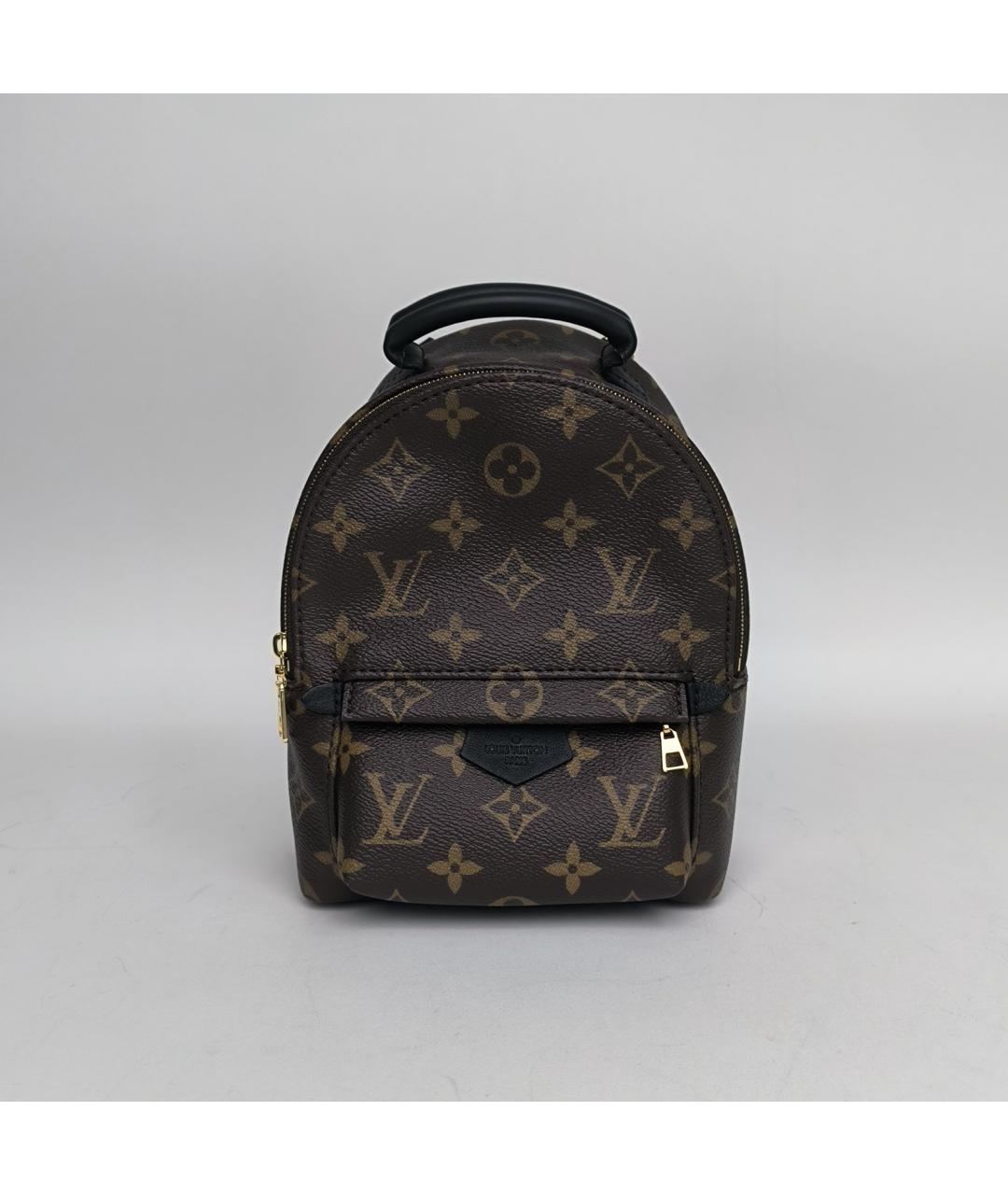 LOUIS VUITTON Коричневый рюкзак, фото 2