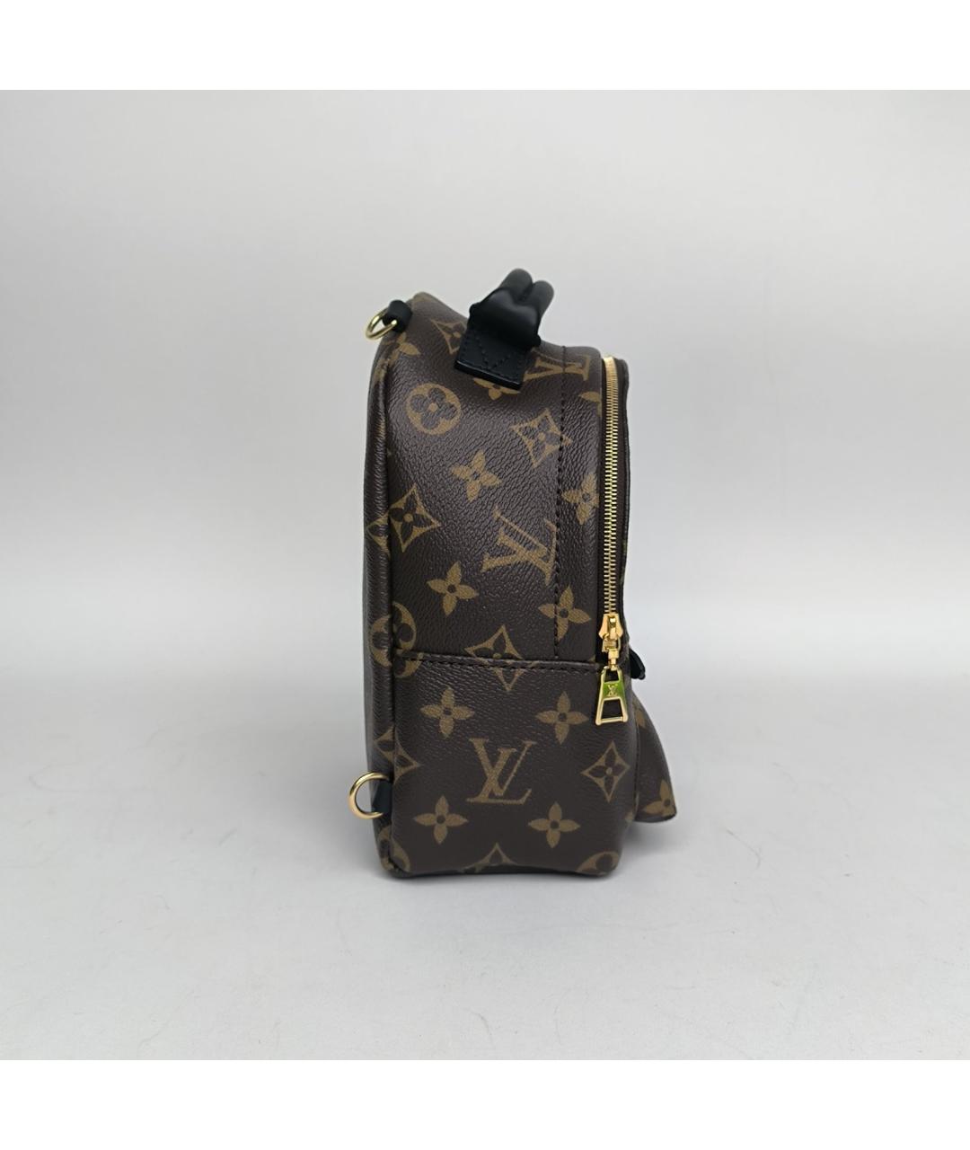 LOUIS VUITTON Коричневый рюкзак, фото 3