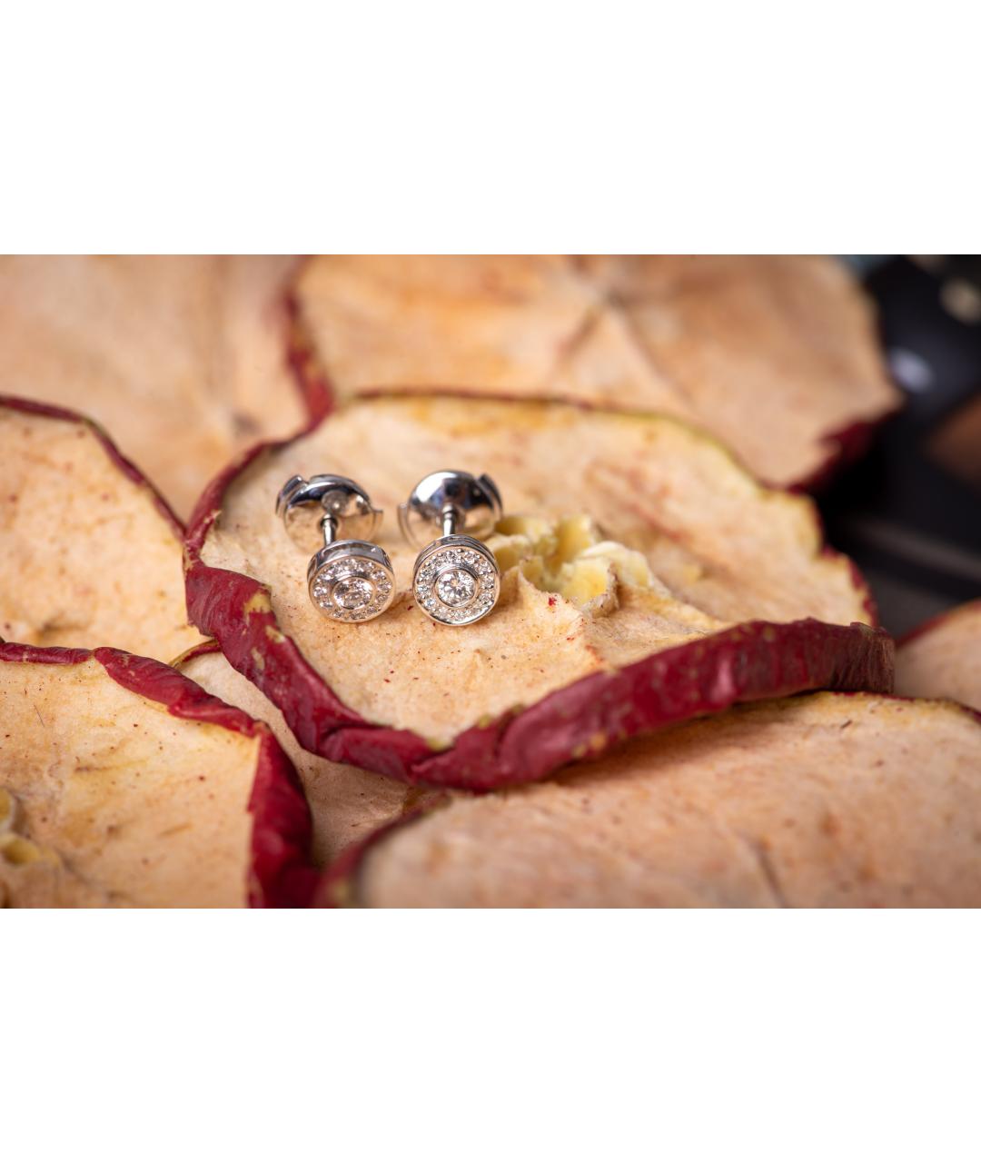 TIFFANY&CO Серебряные серьги из белого золота, фото 2