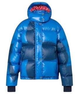 LOUIS VUITTON Пуховик