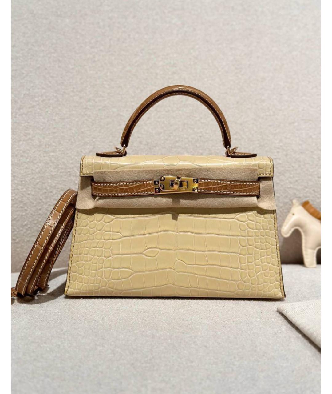 HERMES Сумка с короткими ручками из экзотической кожи, фото 2