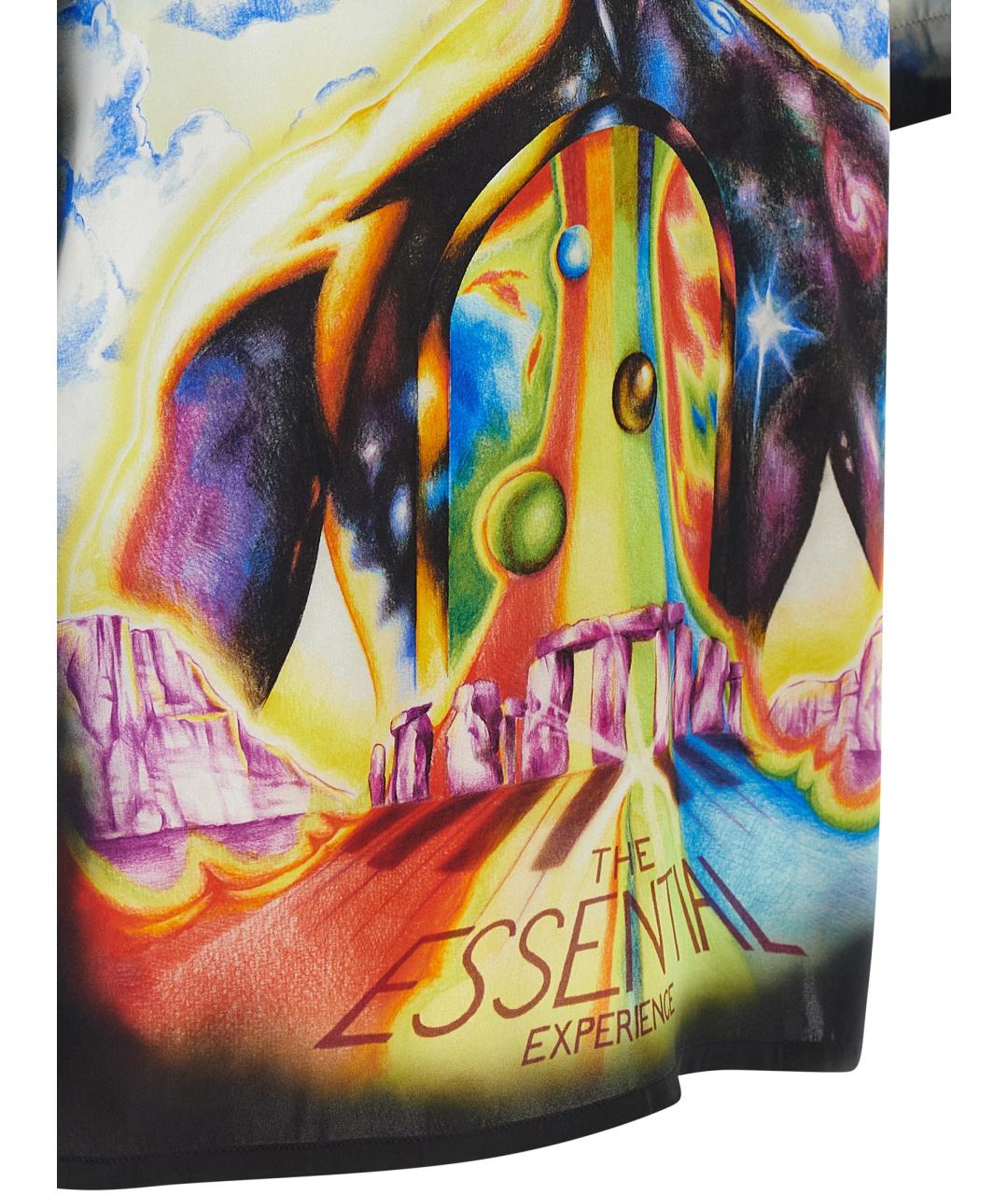 CASABLANCA Мульти шелковая кэжуал рубашка, фото 4