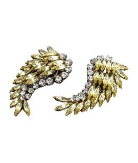 DRIES VAN NOTEN Клипсы