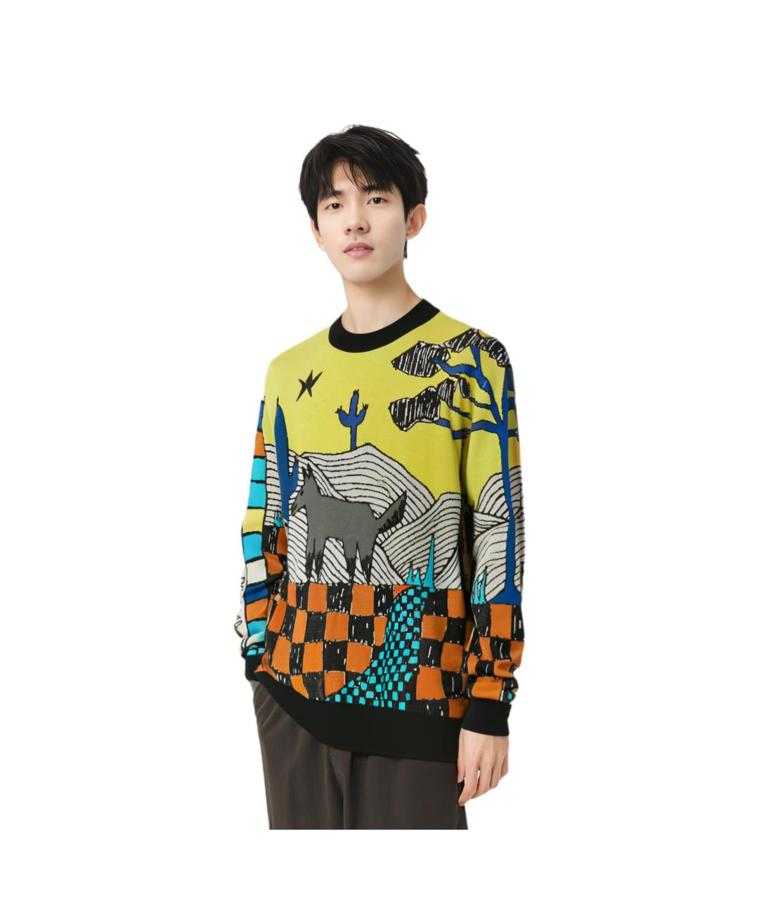 LOUIS VUITTON Мульти джемпер / свитер, фото 3