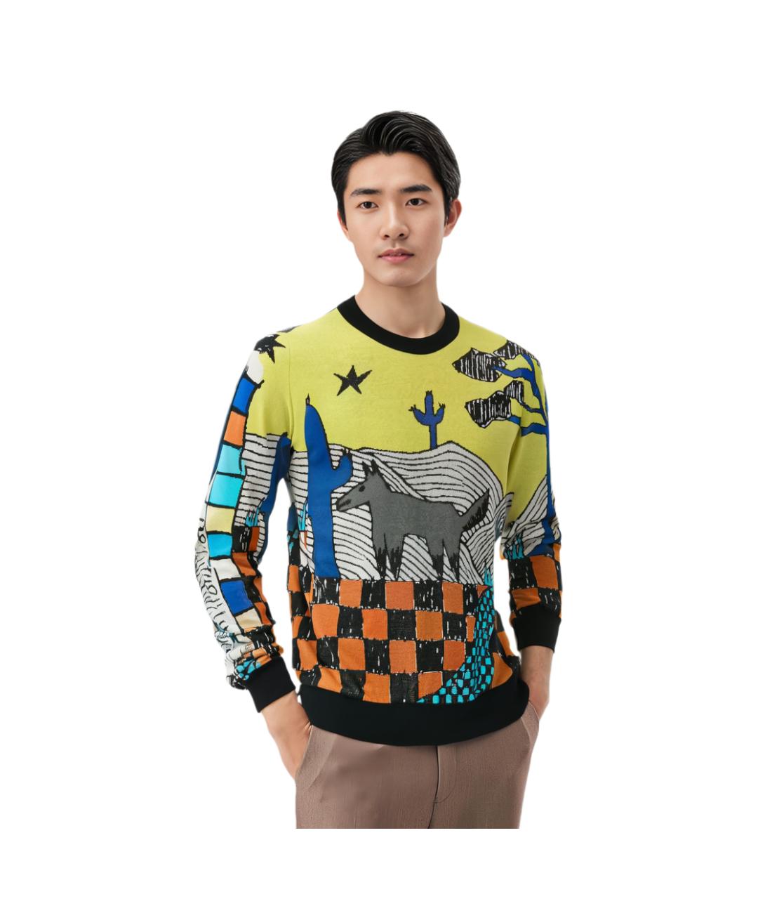 LOUIS VUITTON Мульти джемпер / свитер, фото 2