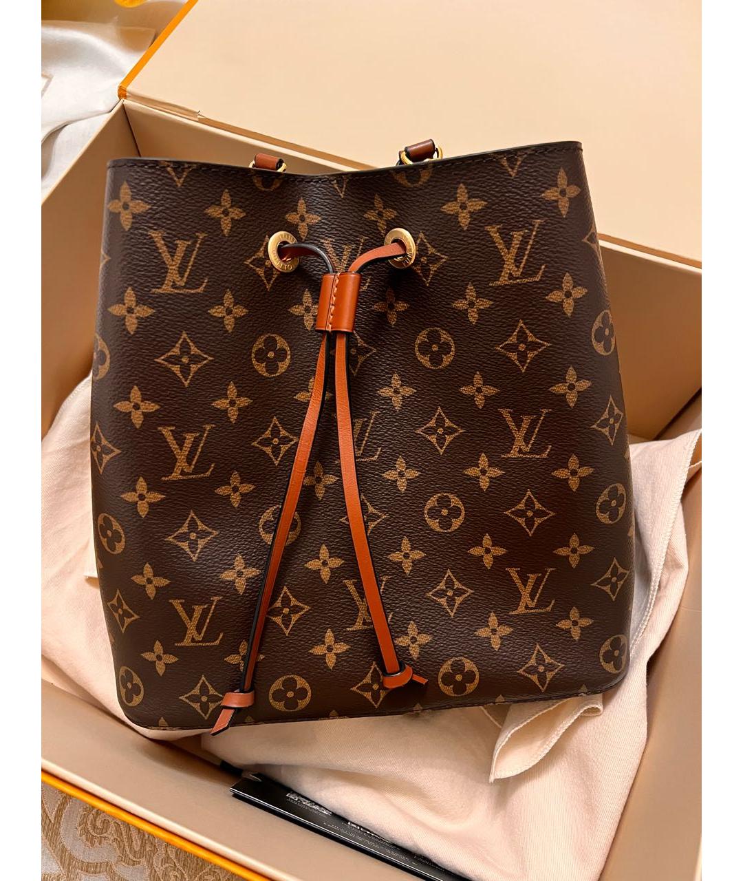 LOUIS VUITTON Коричневая сумка тоут, фото 9