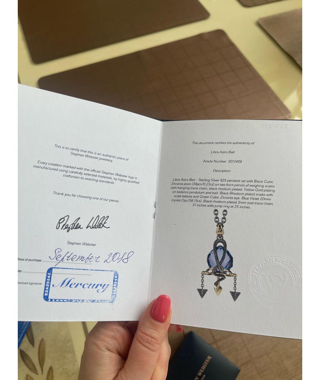 STEPHEN WEBSTER Серебряное серебряное колье, фото 7