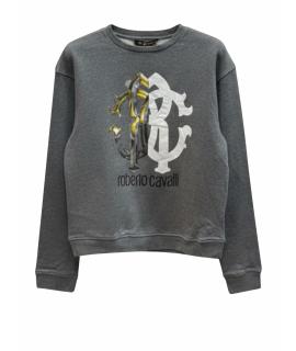 ROBERTO CAVALLI Худи/толстовка