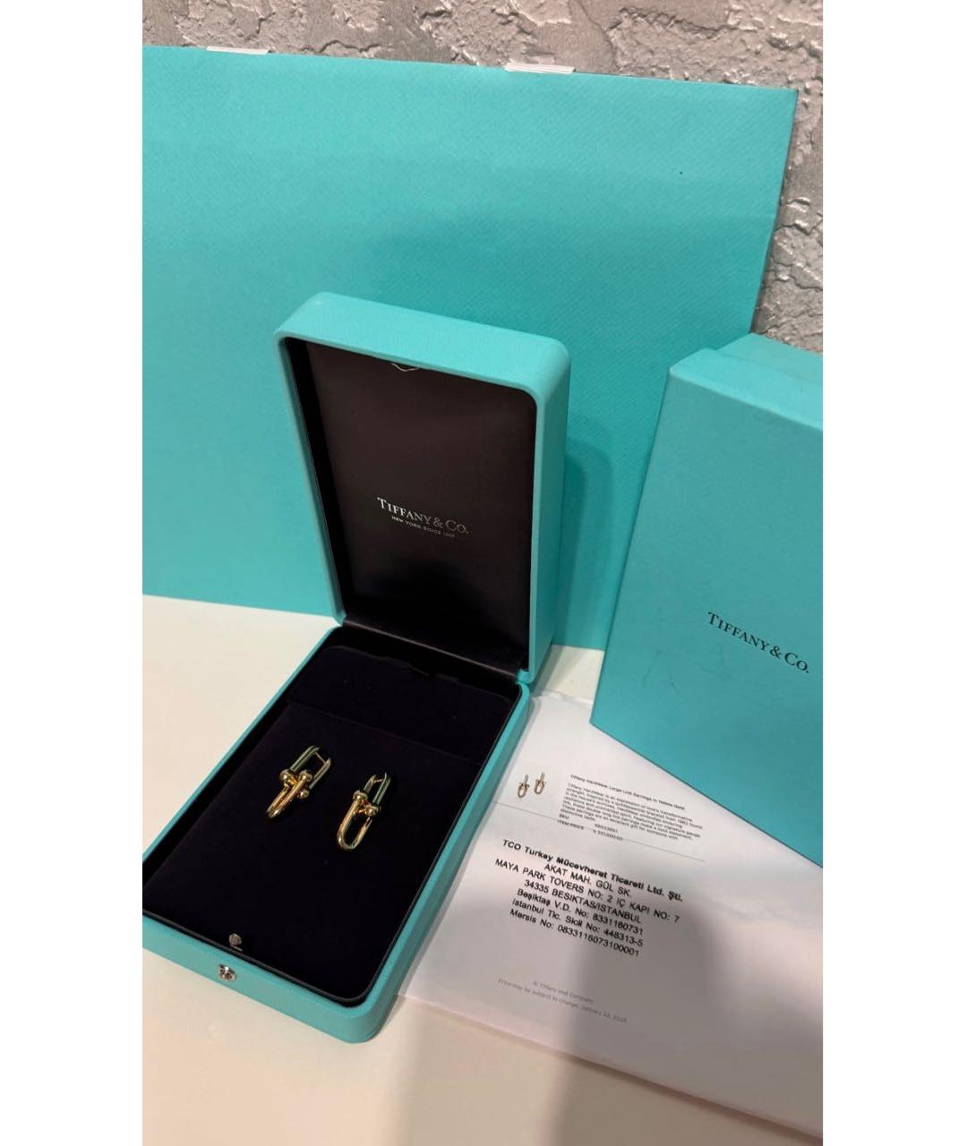 TIFFANY&CO Золотые серьги из желтого золота, фото 5