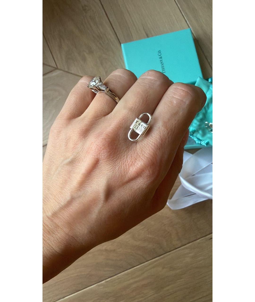 TIFFANY&CO Серебряные серебряные серьги, фото 2