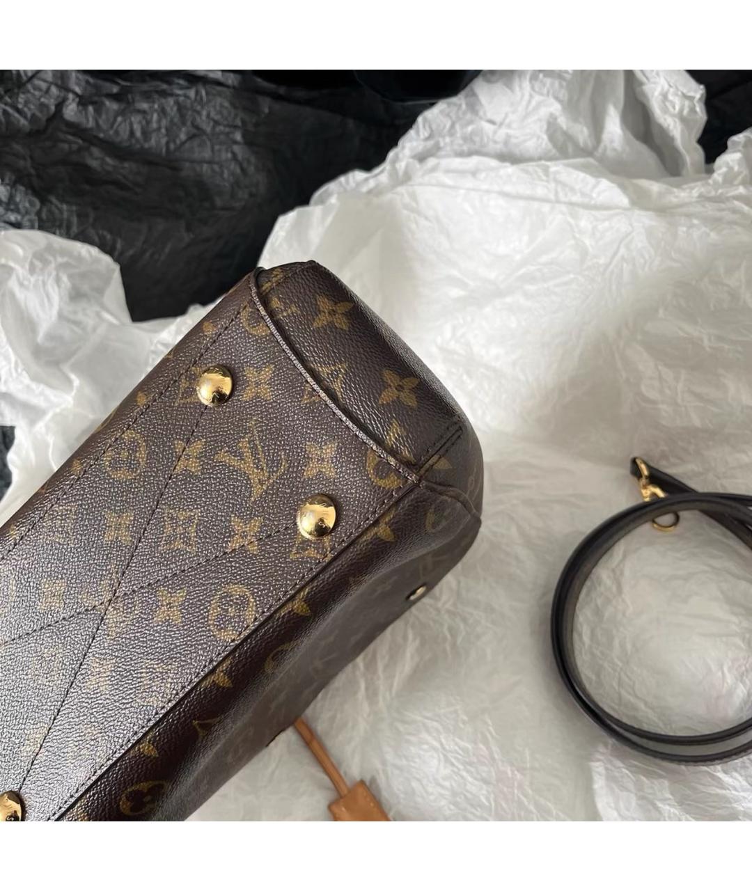 LOUIS VUITTON Коричневая кожаная сумка тоут, фото 5