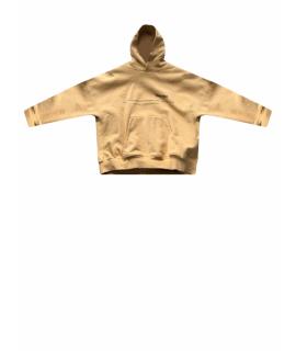 PLANTA ROSA Худи/толстовка