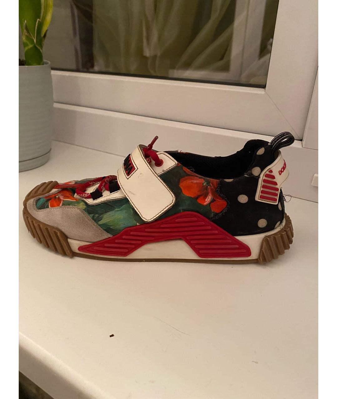 DOLCE&GABBANA Мульти кеды, фото 3