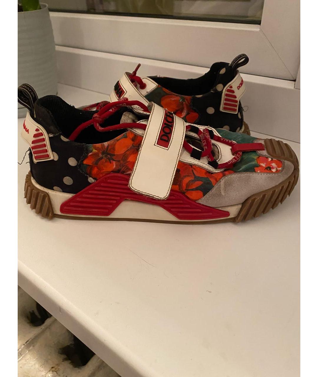 DOLCE&GABBANA Мульти кеды, фото 6