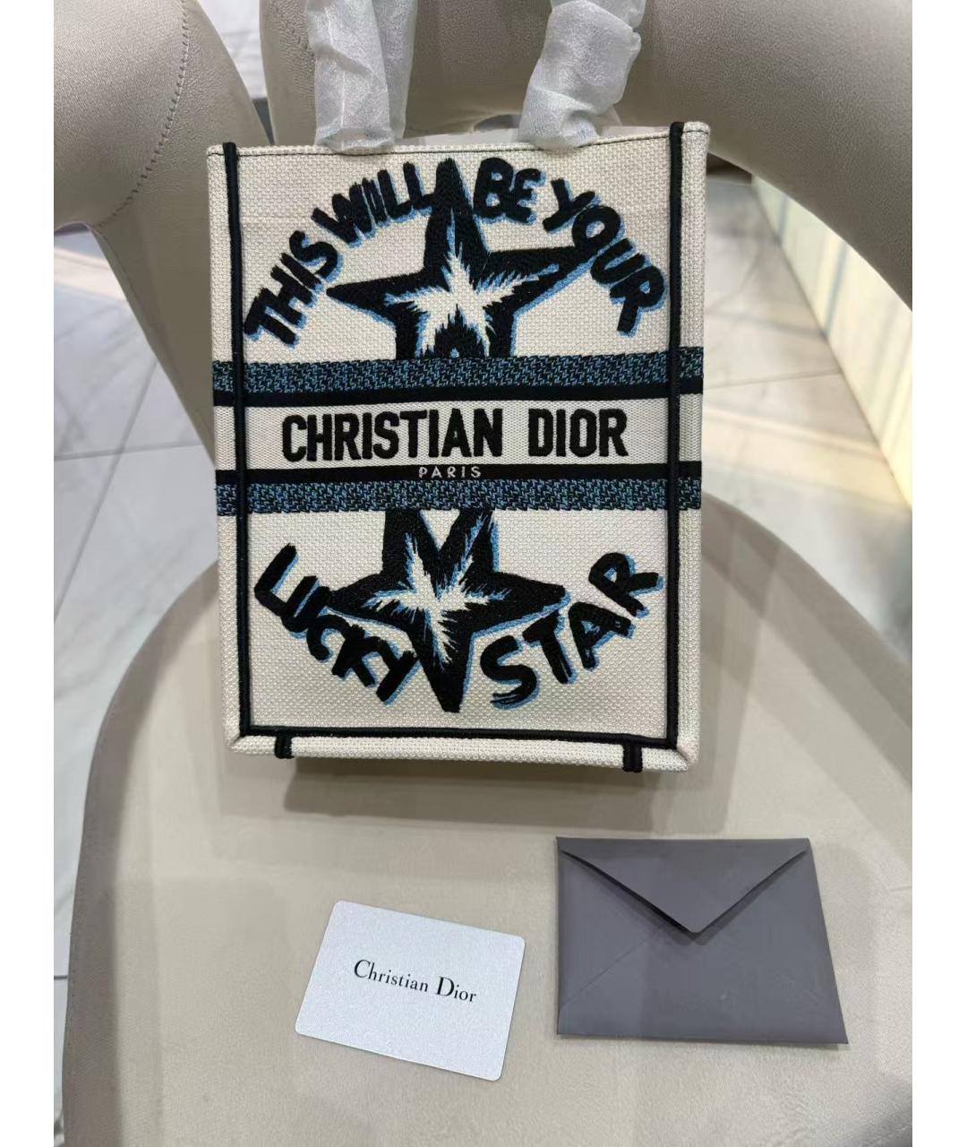 CHRISTIAN DIOR Мульти тканевая сумка с короткими ручками, фото 2