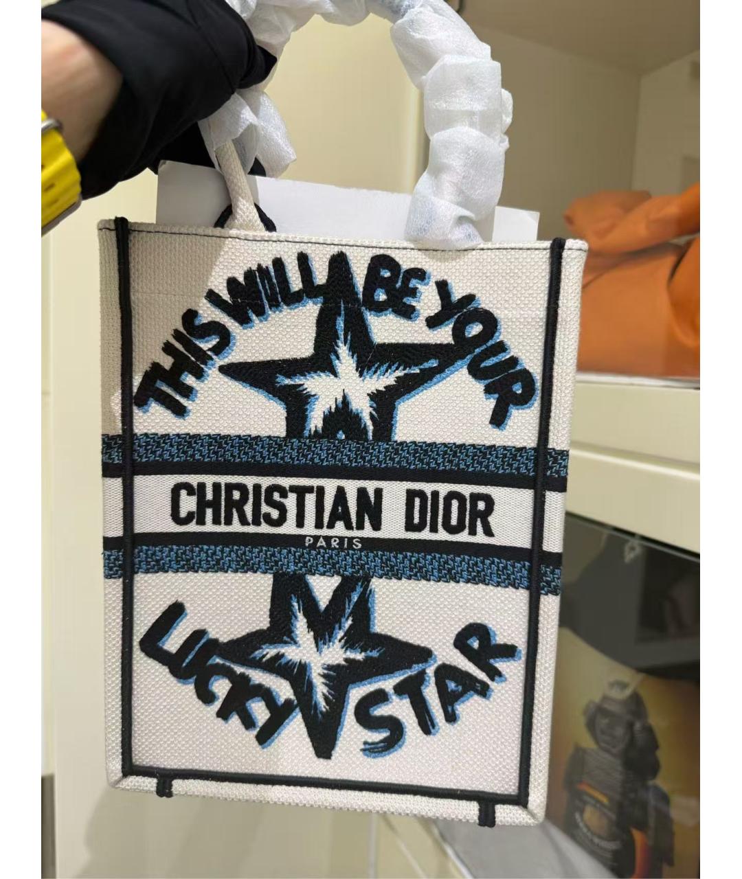 CHRISTIAN DIOR Мульти тканевая сумка с короткими ручками, фото 3