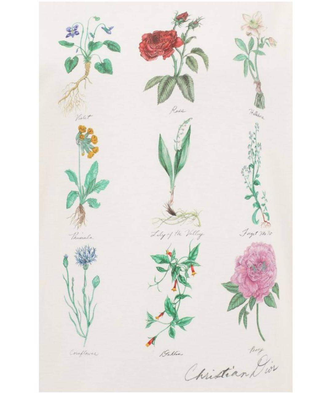 CHRISTIAN DIOR Мульти хлопковая футболка, фото 3