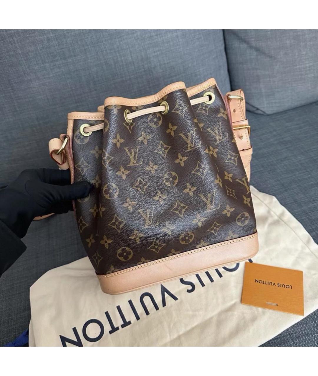 LOUIS VUITTON Коричневая сумка тоут, фото 3