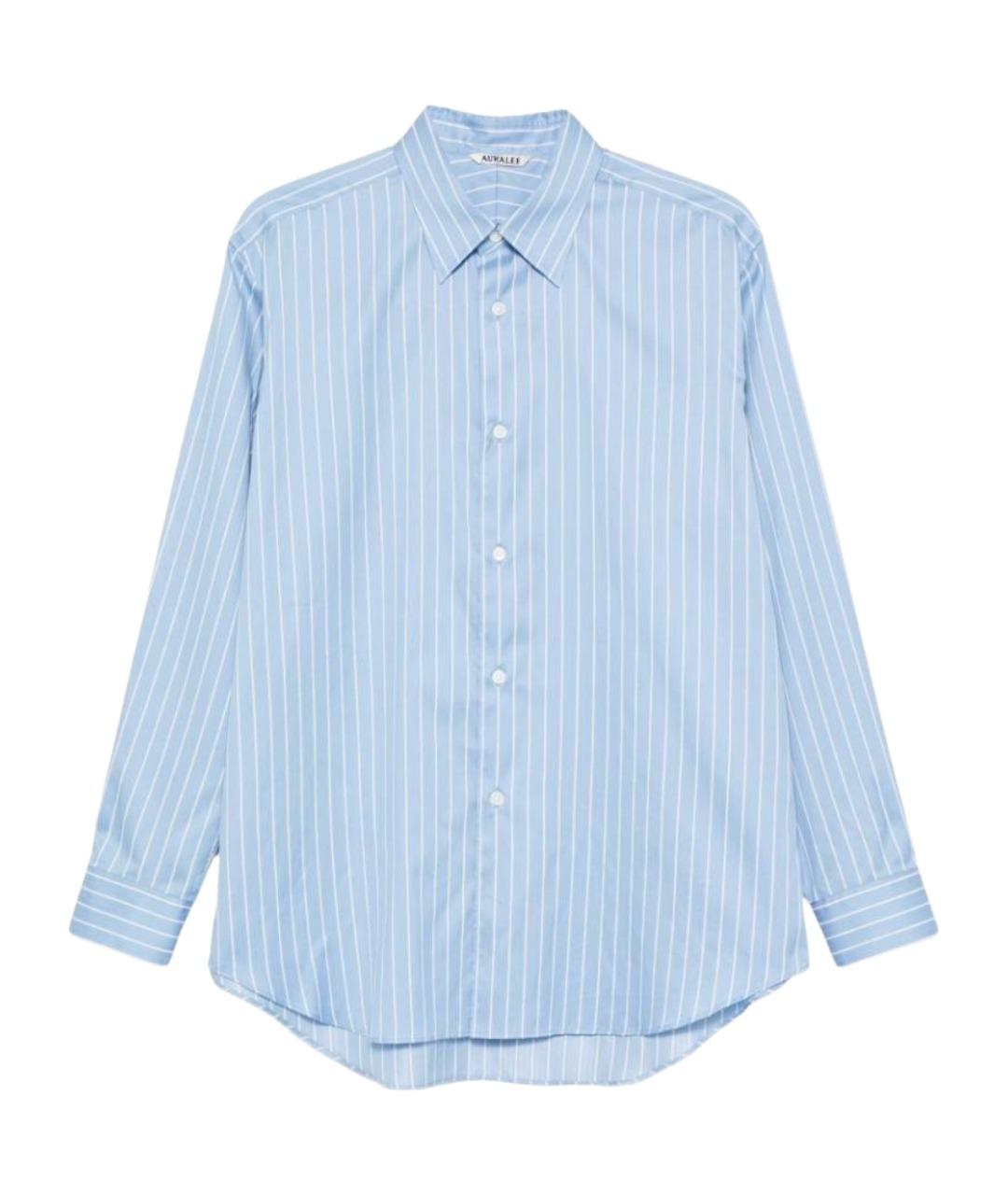 AURALEE Голубая хлопковая классическая рубашка, фото 1