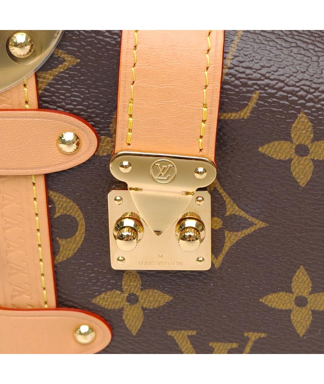 LOUIS VUITTON Коричневая сумка через плечо, фото 8