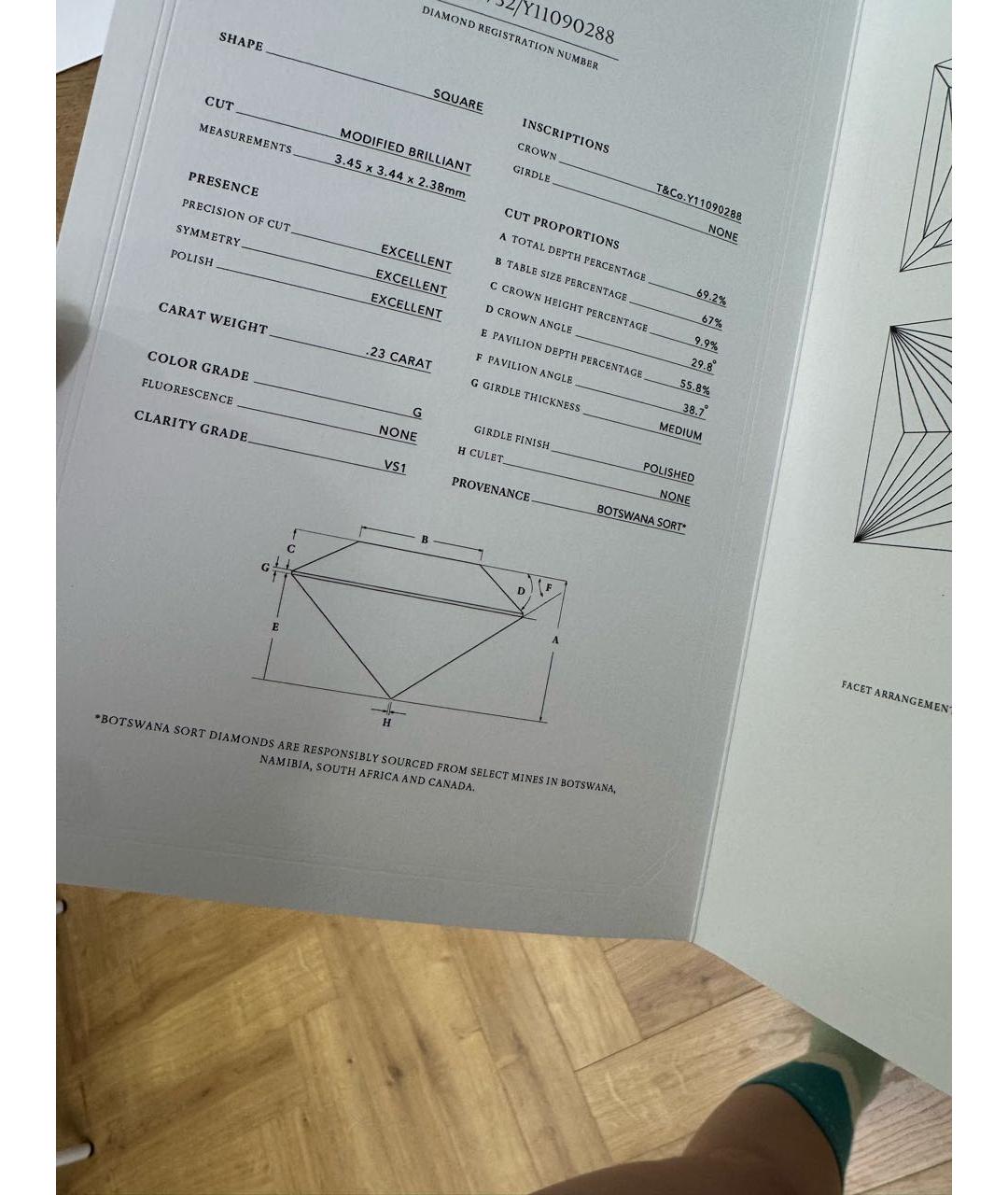 TIFFANY&CO Серебряные платиновые серьги, фото 3