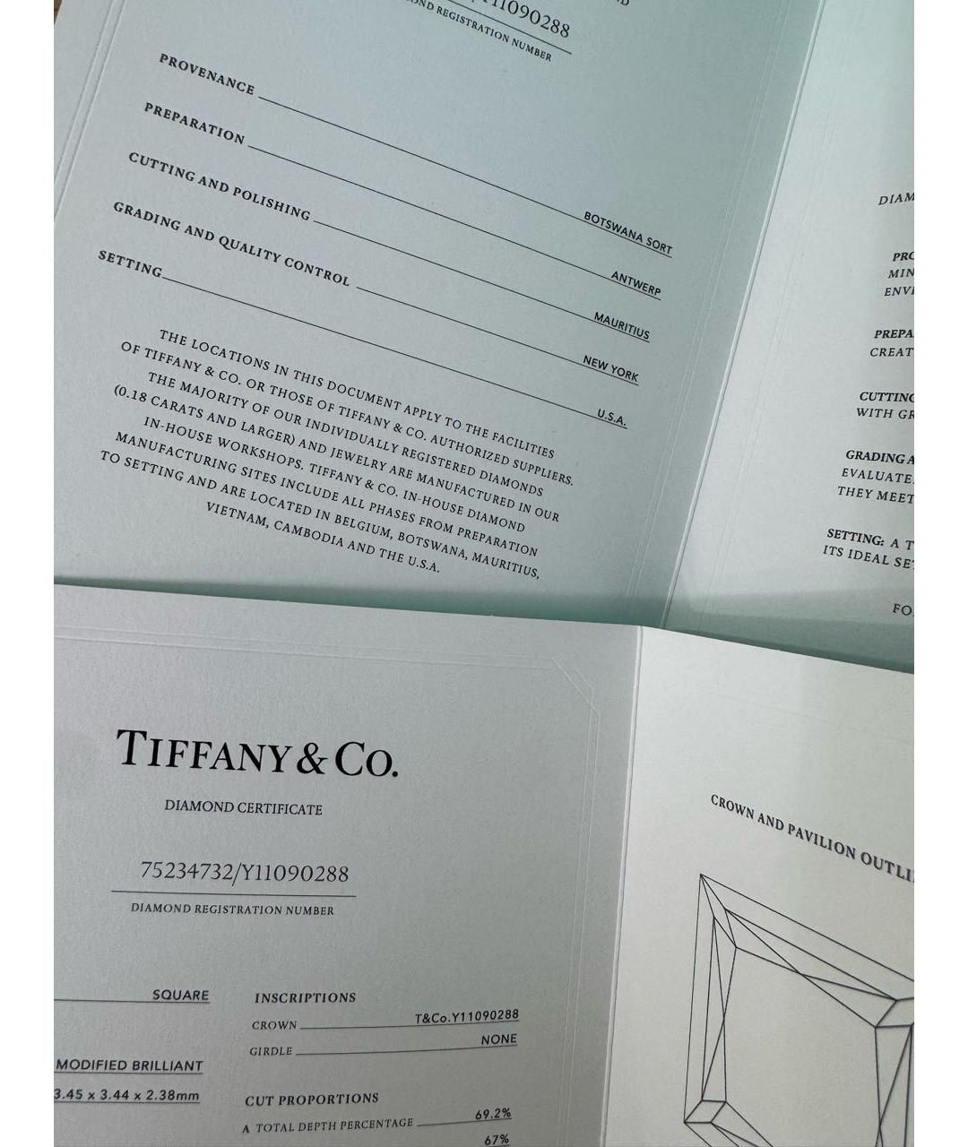 TIFFANY&CO Серебряные платиновые серьги, фото 5