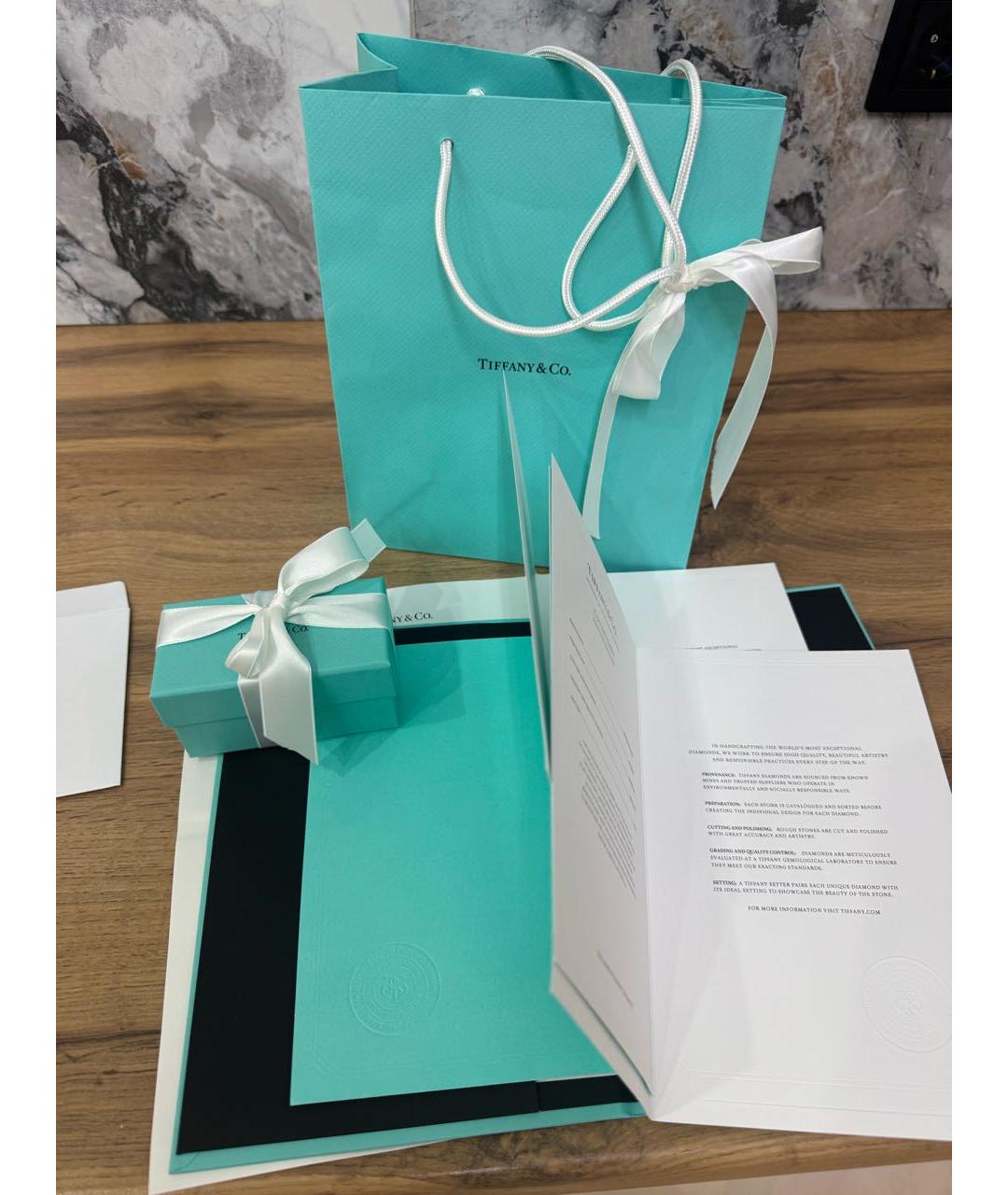 TIFFANY&CO Серебряные платиновые серьги, фото 7