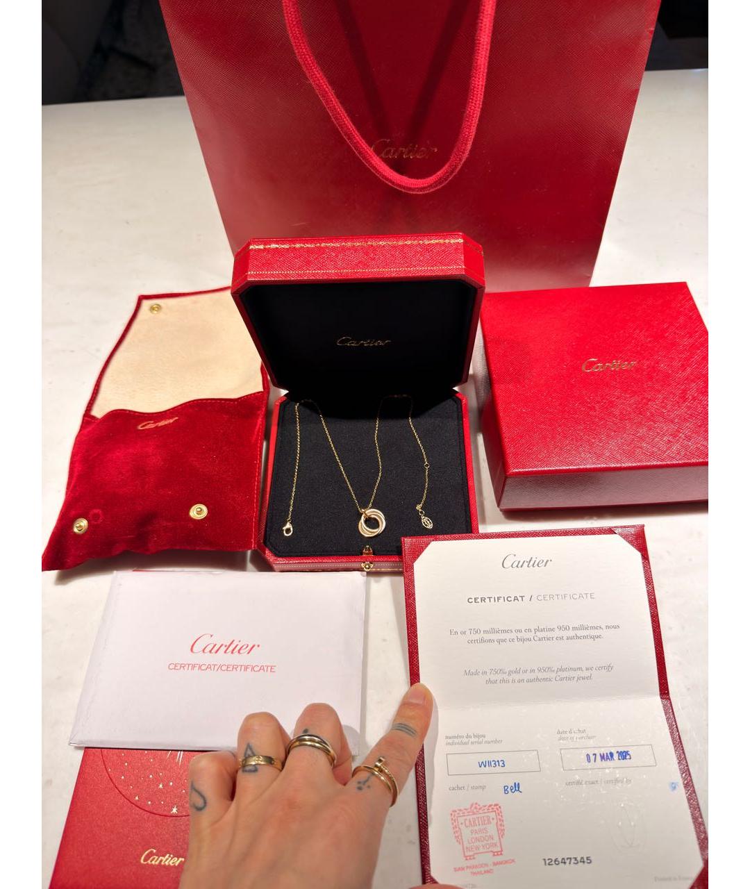 CARTIER Золотое колье из желтого золота, фото 6