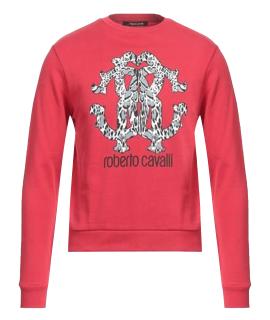 ROBERTO CAVALLI Худи/толстовка