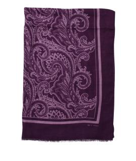 ETRO Шарф