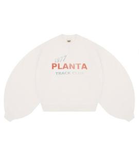 PLANTA ROSA Худи/толстовка