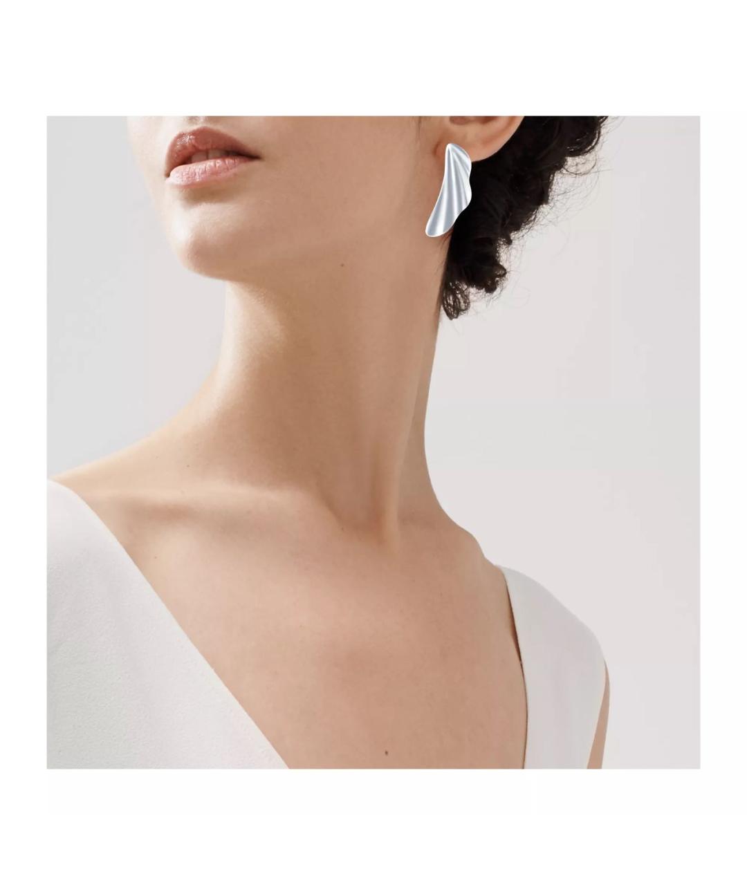 TIFFANY&CO Серебряные серебряные серьги, фото 2