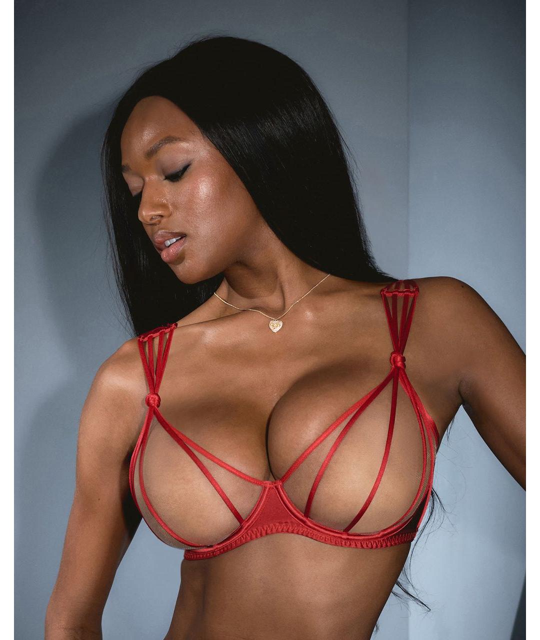 AGENT PROVOCATEUR Красный комплекты, фото 3