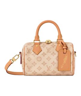 LOUIS VUITTON Сумка тоут