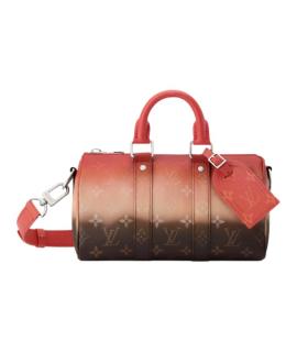 LOUIS VUITTON Дорожная и спортивная сумка