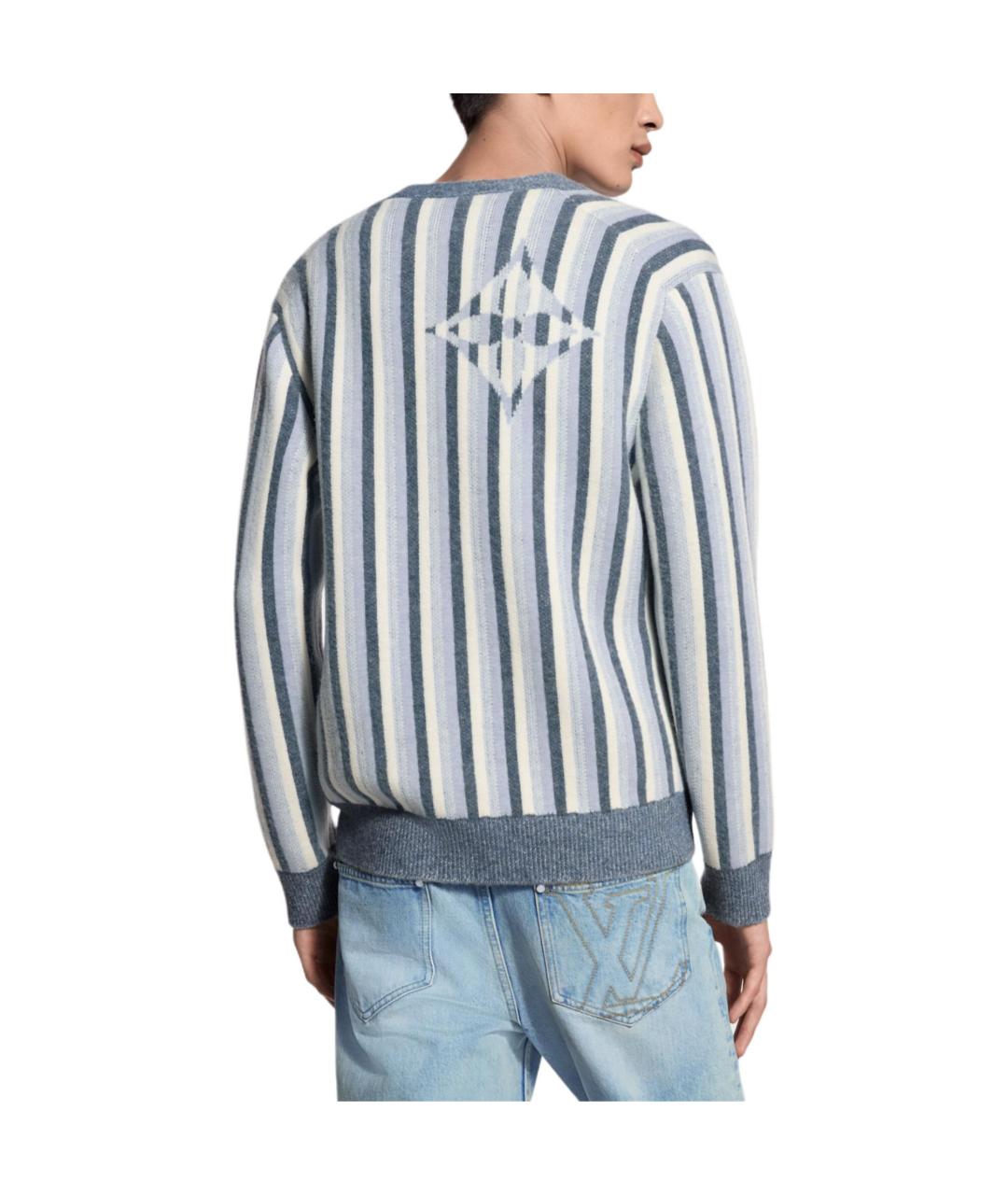 LOUIS VUITTON Голубой джемпер / свитер, фото 3