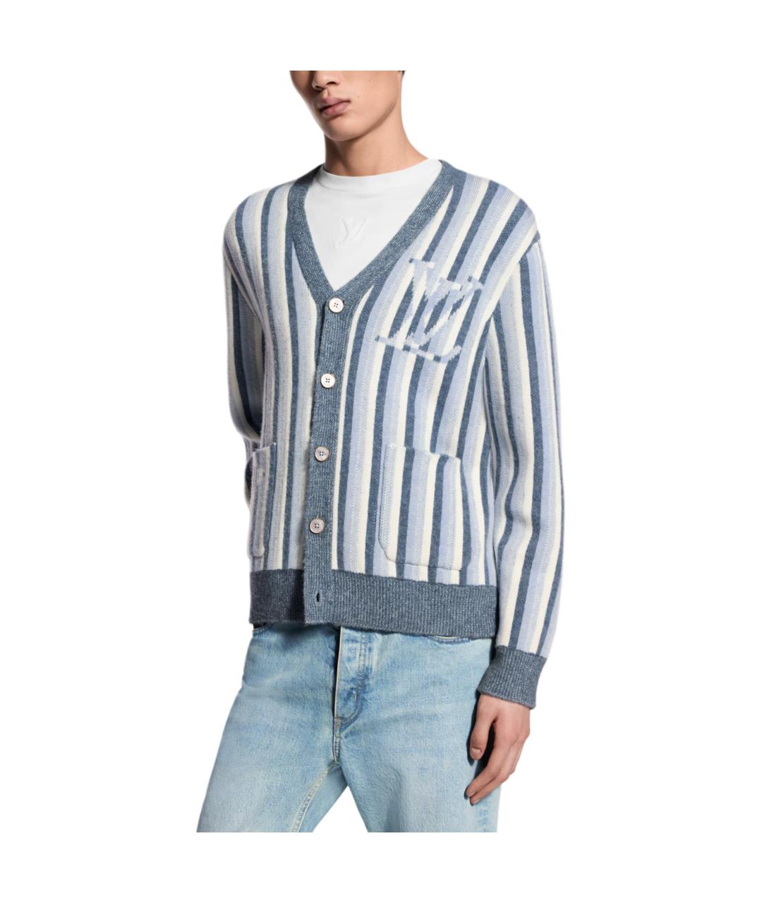 LOUIS VUITTON Голубой джемпер / свитер, фото 2