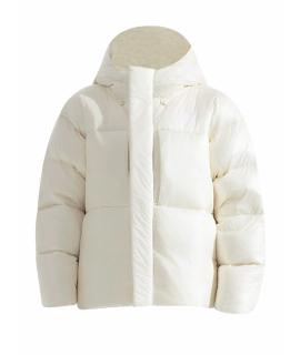 THE NORTH FACE Пуховик