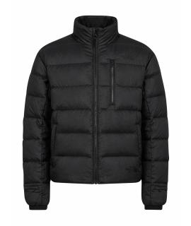 THE NORTH FACE Пуховик