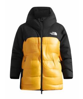 THE NORTH FACE Пуховик