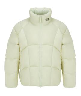 THE NORTH FACE Пуховик