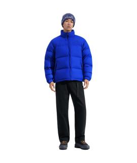 THE NORTH FACE Пуховик