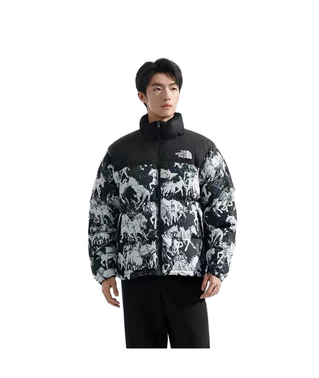 THE NORTH FACE Мульти куртка, фото 3